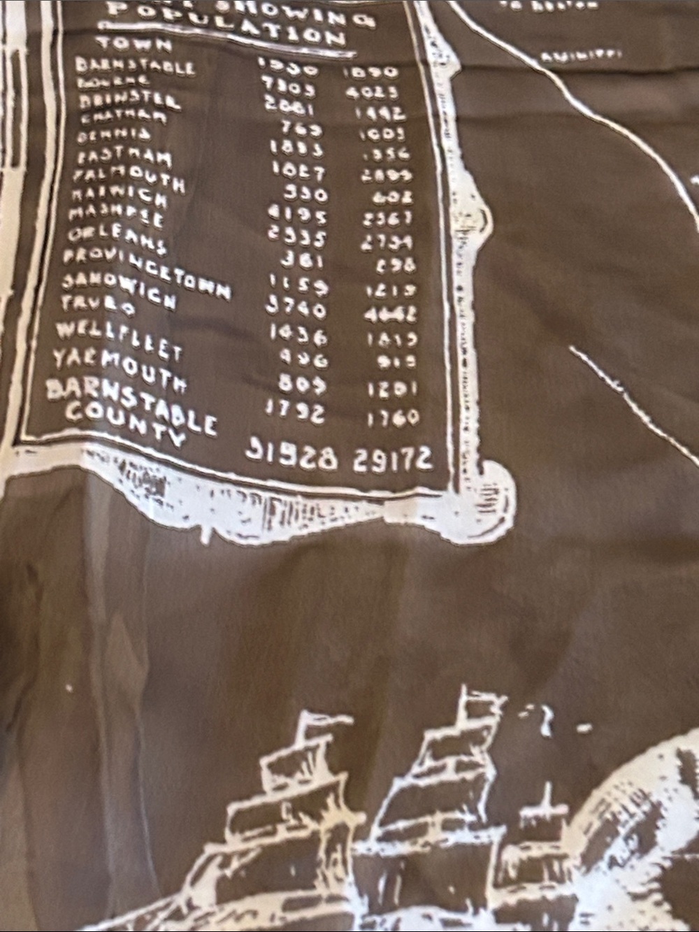 Cape Cod Map Scarf  - Blue - Picture 5 of 12